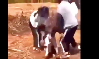 Nữ sinh lớp 9 bị nhóm bạn đánh hội đồng dã man