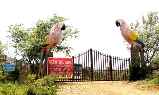 Kon Tum thanh tra toàn diện 27 dự án ở Kon Plông