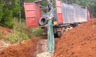 Chôn lấp 5,5 tấn cá tầm vận chuyển trái phép qua biên giới
