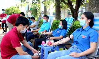 Ấm áp hình ảnh tuổi trẻ Gia Lai trên mọi mặt trận vì cộng đồng