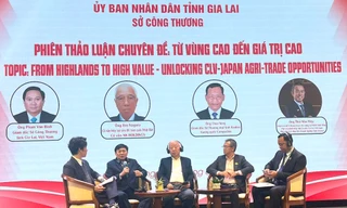 Gia Lai kết nối giao thương với doanh nghiệp nước ngoài