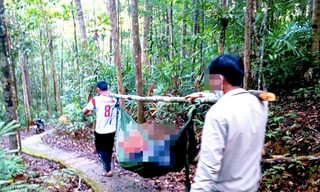 Vào thác tham quan, nữ du khách bị cây đổ đè tử vong