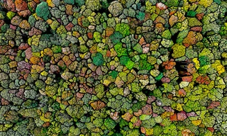 Từ trên cao dõi mắt ngắm phong cảnh kỳ ảo ở Kon Tum 