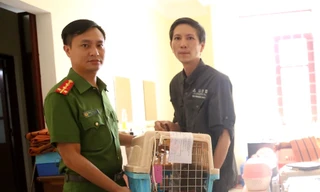 Bàn giao nhiều cá thể tê tê, hổ mang chúa cho VQG Cúc Phương