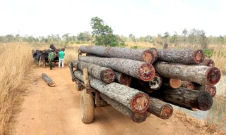 'Chạm mặt' 30 lâm tặc vụ đe dọa lực lượng chức năng