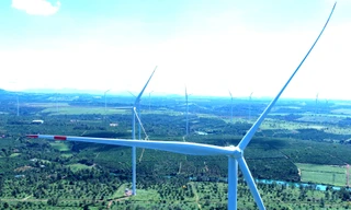 Gia Lai báo cáo gì vụ 5 dự án điện gió vi phạm?