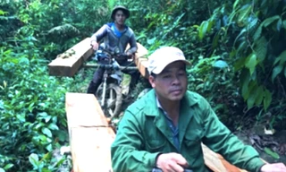 Khởi tố hai đối tượng từ Đắk Lắk sang Gia Lai cưa gỗ trái phép 