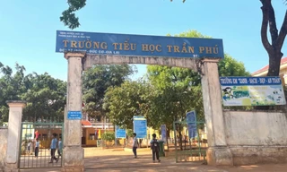 Xử lý hiệu trưởng buộc thôi việc kế toán sai quy định