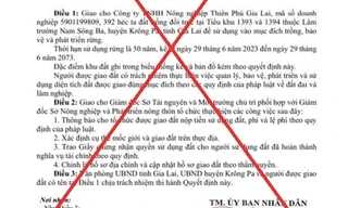 Tin mới vụ làm giả quyết định giao 392ha đất trồng rừng cho doanh nghiệp