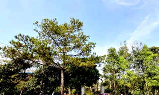 Khám xét nhà đôi vợ chồng 'nhốt' hai cán bộ công an nhiều giờ ở Gia Lai