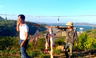 Thanh niên Ba Na bắt được cá lăng khủng, dài hơn 1,6m