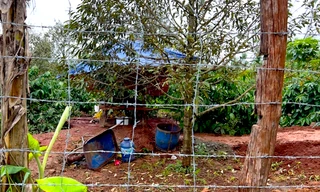 Gia Lai: 2 người đàn ông bị điện giật tử vong dưới giếng