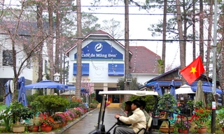 Công an thu thập hồ sơ, làm rõ nhiều đơn tố giác Tập đoàn Vị Trí Vàng