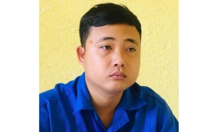 Khởi tố đối tượng làm giả quyết định giao 392ha đất trồng rừng để lừa đảo