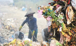 Ba dự án hơn trăm tỷ của AIC bị Gia Lai yêu cầu kiểm tra 