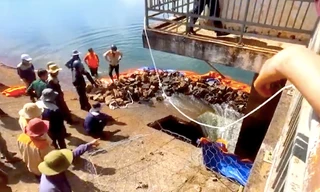 Thủng lỗ trên thân đập thủy lợi ở Gia Lai, khẩn trương sơ tán người dân