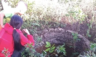 Ảnh minh hoạ. Nguồn: Internet