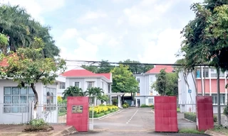 Xem xét trách nhiệm của lãnh đạo 43 đơn vị liên quan sai phạm ở Gia Lai