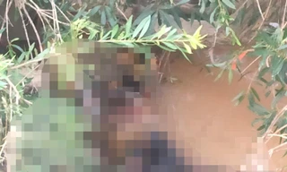 Tá hỏa phát hiện xác chết lõa thể dưới suối