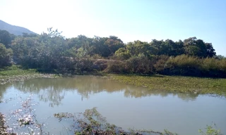 Tắm ao, 2 em nhỏ đuối nước tử vong