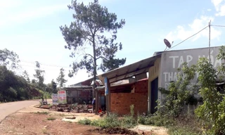 Xác minh việc UBND huyện Kon Plông bị tố ‘tiếp tay’ cho 2 dự án