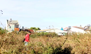 Thu hồi lại dự án làm trụ sở gần 4.000m2 để cỏ dại mọc um tùm 