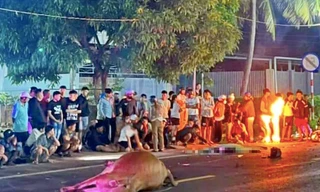 Tông trúng con bò trên quốc lộ, thiếu niên tử vong tại chỗ