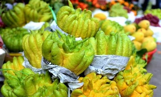 Ảnh minh họa: Internet