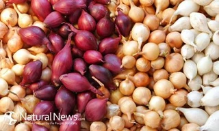 Ảnh minh họa: Internet