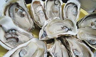 Ảnh minh hoạ: Internet