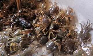 Ảnh minh họa: Internet