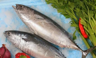 Ảnh minh họa: Internet