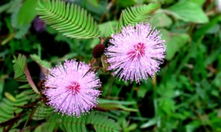 Ảnh minh họa: Internet