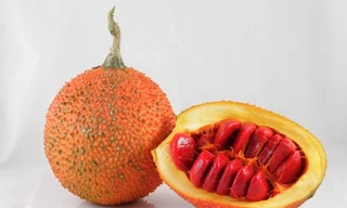 Ảnh minh họa: Internet