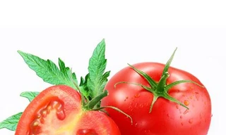 Ảnh minh họa: Internet