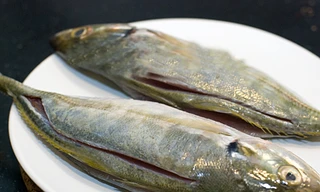 Ảnh minh hoạ: Internet