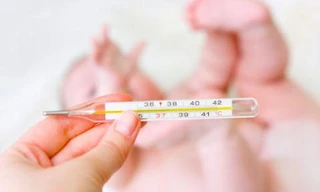 Ảnh minh họa: Internet