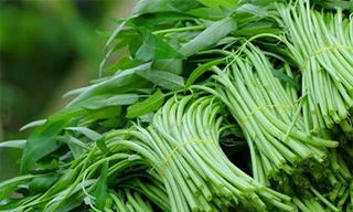 Ảnh minh hoạ: Internet