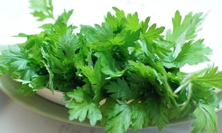 Ảnh minh hoạ: Internet