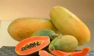 Ảnh minh họa: Internet