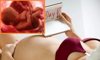 Ảnh minh họa: Internet