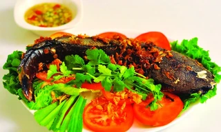 Ảnh minh hoạ: Internet