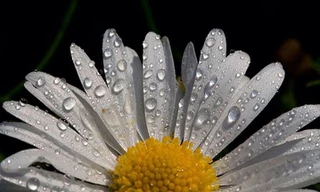 Ảnh minh họa: Internet