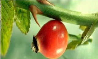 Ảnh minh họa: Internet