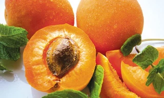 Ảnh minh họa: Internet