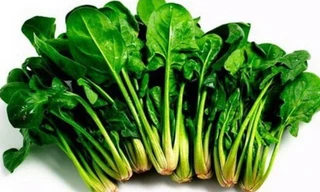 Ảnh minh họa: Internet