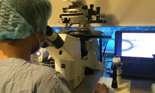 Mang thai hộ bằng hình thức thụ tinh trong ống nghiệm mở ra nhiều cơ hội cho các cặp vợ chồng hiếm muộn. Ảnh: Lê Phương.