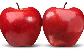 Ảnh minh họa: Internet