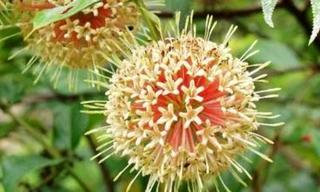 Ảnh minh họa: Internet