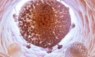 Ảnh minh họa: Internet